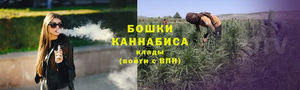 мяу мяу мука Бородино