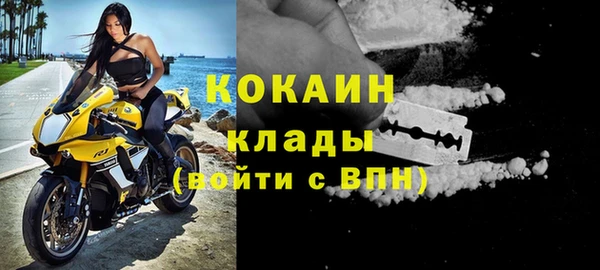 мяу мяу мука Бородино