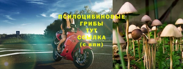 мяу мяу мука Бородино