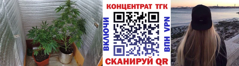 Купить закладки  Пустошка  Дистиллят ТГК концентрат 